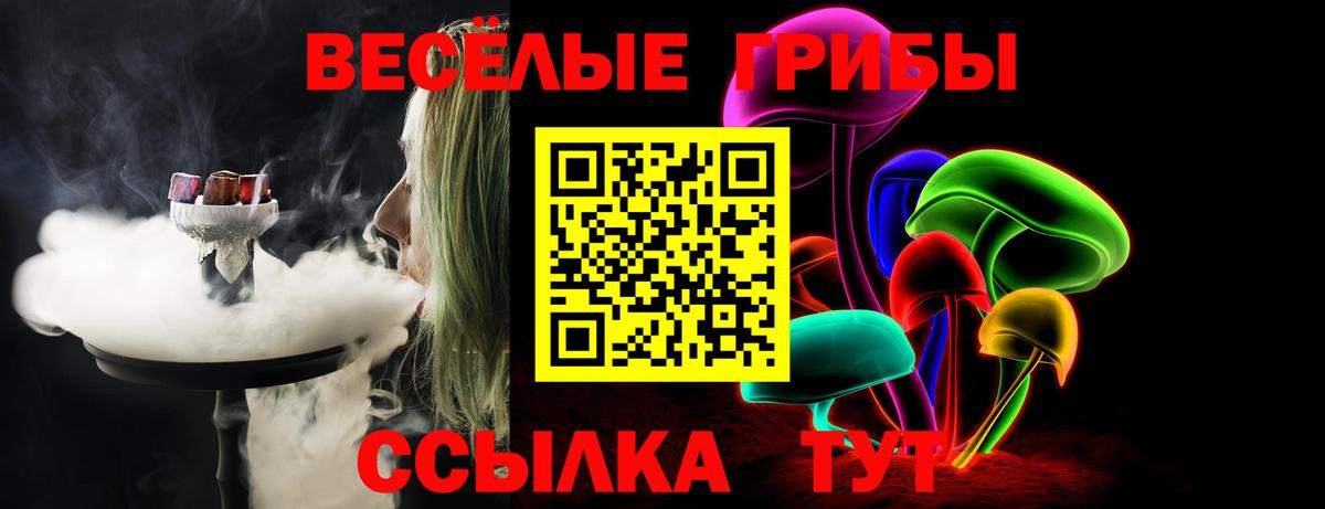 Псилоцибиновые грибы Psilocybe  Псилоцибиновые грибы Psilocybe  Алейск  Вход с VPN 